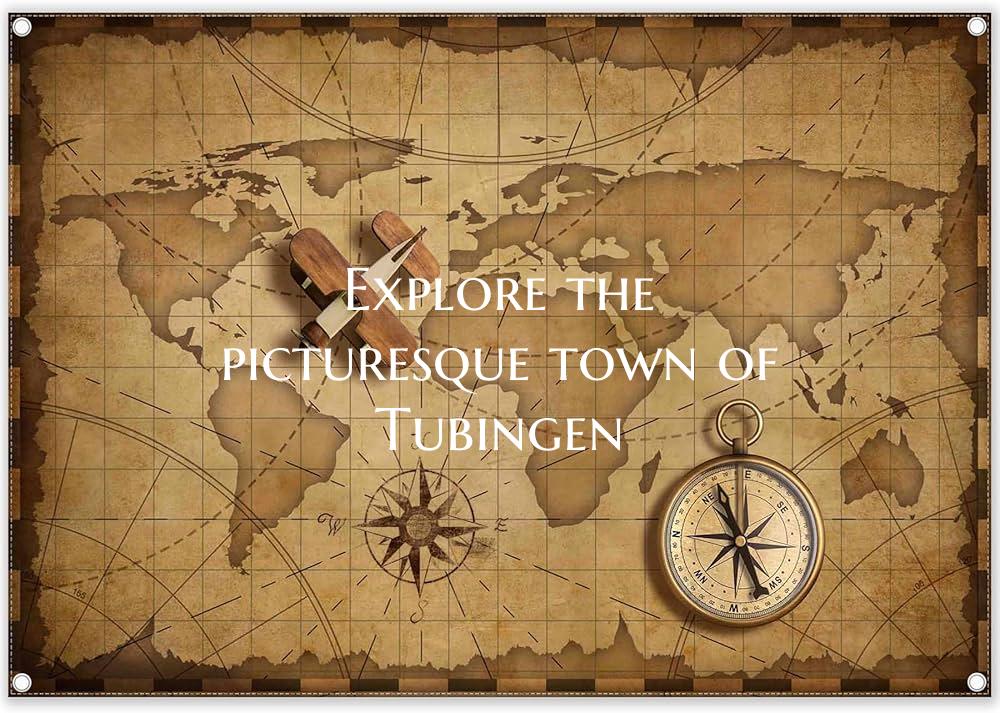 Explore the picturesque town of Tubingen