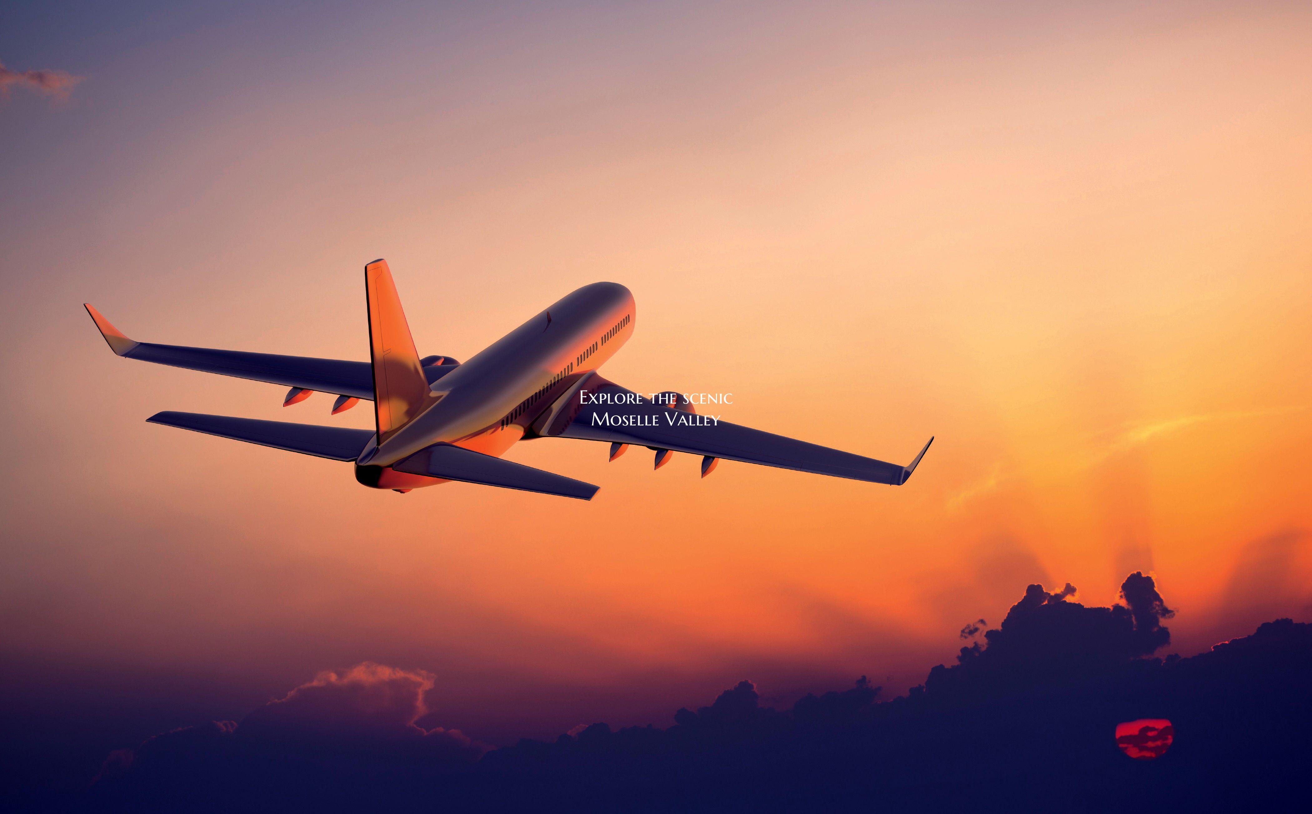 Explore the scenic Moselle Valley